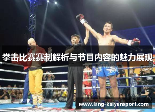 拳击比赛赛制解析与节目内容的魅力展现