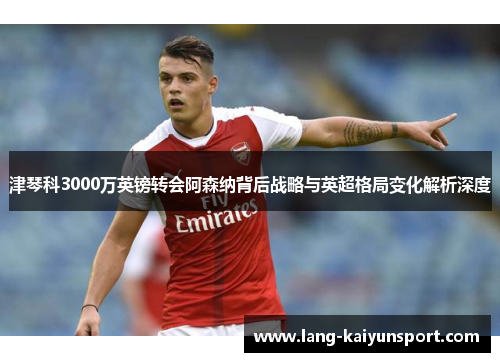 津琴科3000万英镑转会阿森纳背后战略与英超格局变化解析深度